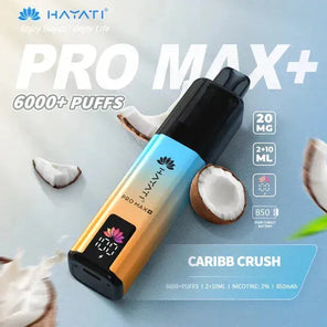 Hayati Pro Max Plus 6000+ | 5 PACK - Discount Vapes