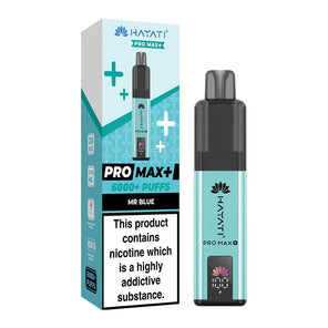 Hayati Pro Max Plus 6000+ | Single Bar - Discount Vapes