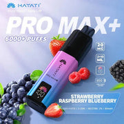 Hayati Pro Max Plus 6000+ | 5 PACK - Discount Vapes